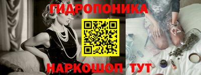 прущие грибы Будённовск