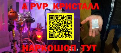 прущие грибы Будённовск