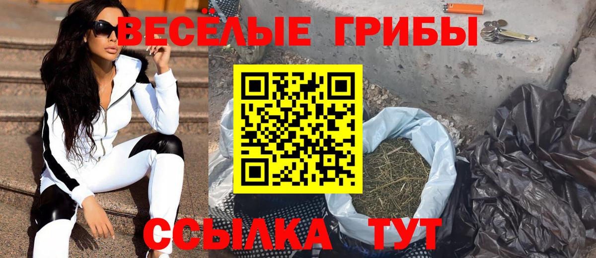 Псилоцибиновые грибы GOLDEN TEACHER Ростов Великий