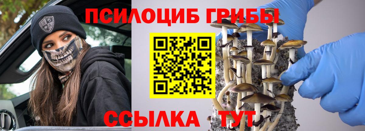 Ростов Великий  Псилоцибиновые грибы ЛСД  Псилоцибиновые грибы прущие грибы  Вход с VPN 
